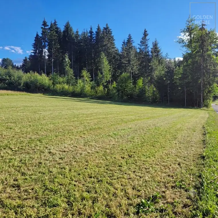  Einmalig: Baugrundstück am Waldrand mit unverbaubarem Grünblick in Velden-Umgebung
