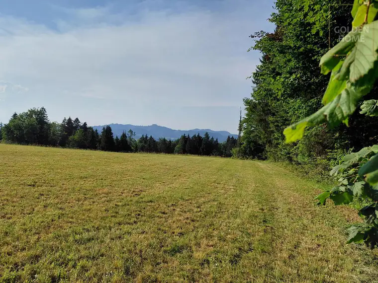 Der perfekte Platz für Ihr neues Zuhause