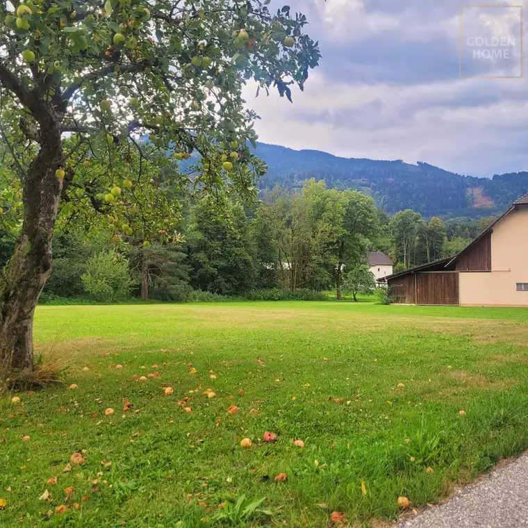 Uriges Bauernhaus mit Charakter, viel Platz und Blick auf die Berge!