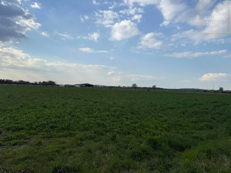 Weiläufiger Rückzugsort mit herrlichem Grünblick