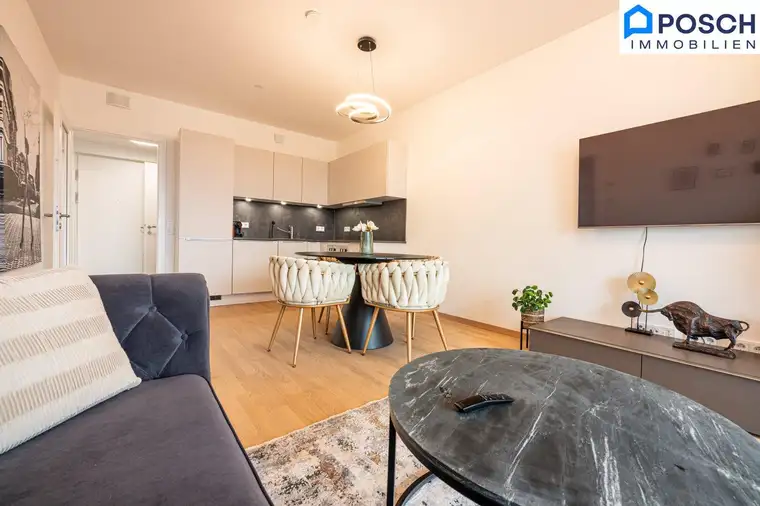 *VIEW OVER VIENNA * 2 rooms, Loggia, Fitness Center, Furnished apartment * All inklusiv rental * also short term* Wien Innenstadt Blick, Vienna CITY View Apartment*