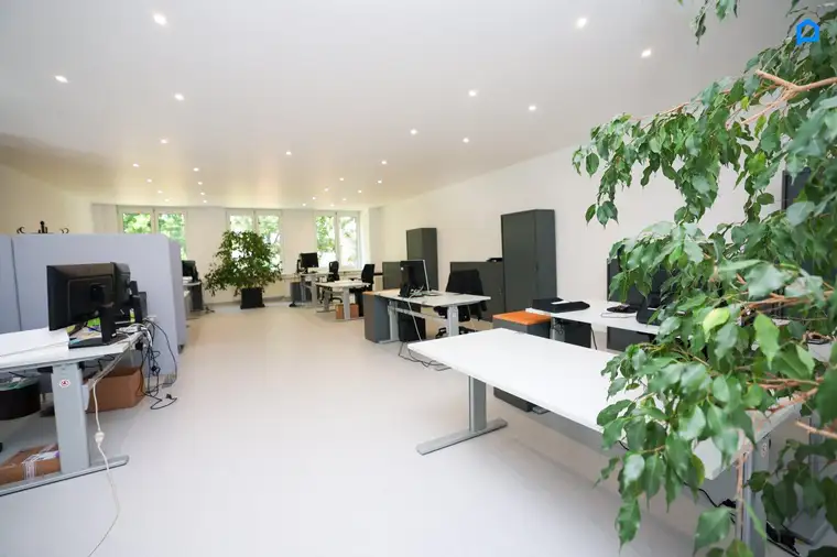 +Flexibles modernes Büro ca. 297 m² ,15-20 Räume insgesamt möglich, Teeküche, Toiletten, optionale PKW Stellplätze, optionaler Keller+