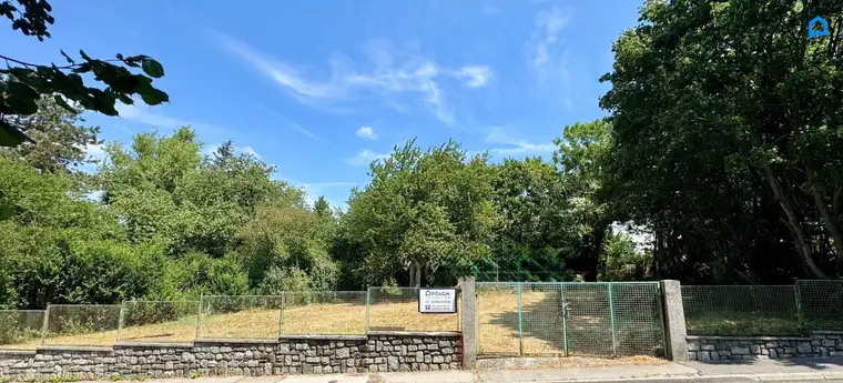 "Platz für Ihre Vision -- Baugrund ca. 952 m² -- optimale Breite u. Tiefe -- Südhang am Wolfersberg."