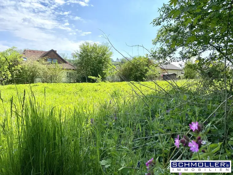 Neuer Preis - Leben in den Traunauen! Grundstück in Thalheim-Schauersberg