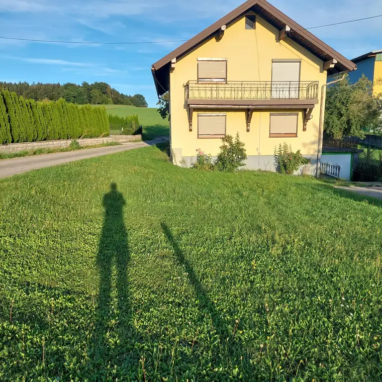 Ein-Zweifamilienhaus in Lochen/Palting