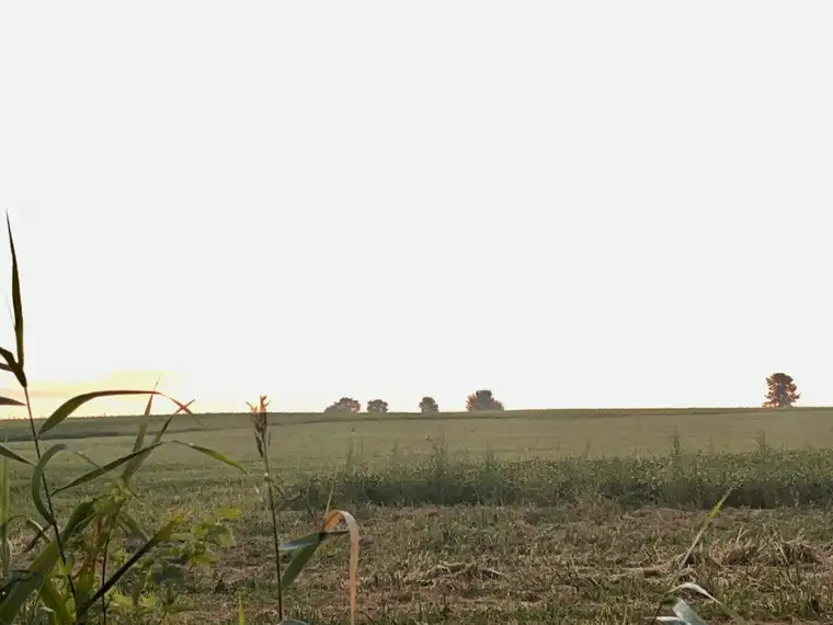 Sonnige, ebene und LEISTBARE Grundstücke in zentraler Lage in Markt Allhau - für Ihr neues Traumhaus!