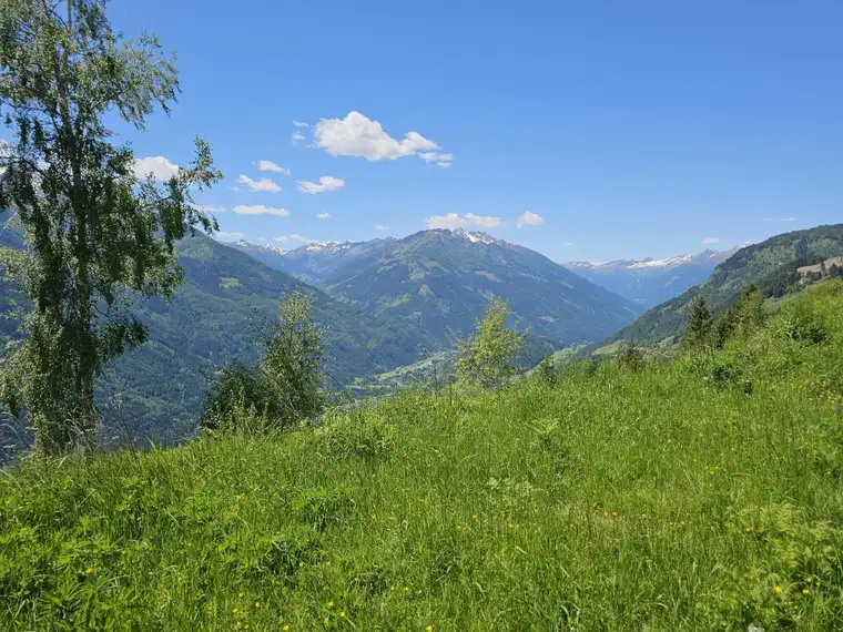 Seltenes Almgrundstück mit überwältigendem Panoramablick und Genehmigung für Zweitwohnsitz