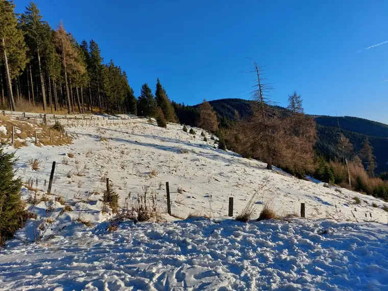 Bauland Kurgebiet und Grünland auf der Koralm
