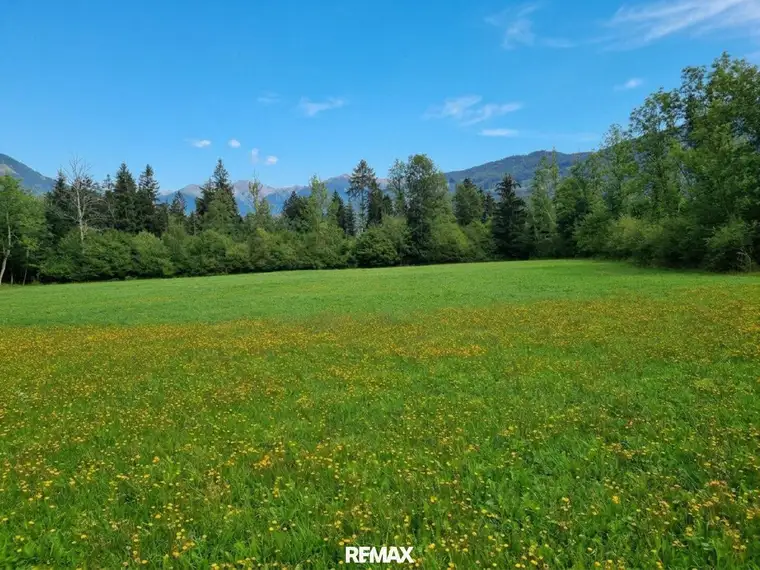 Schöne Grünlandfläche in der Gemeinde Kleblach/Lind