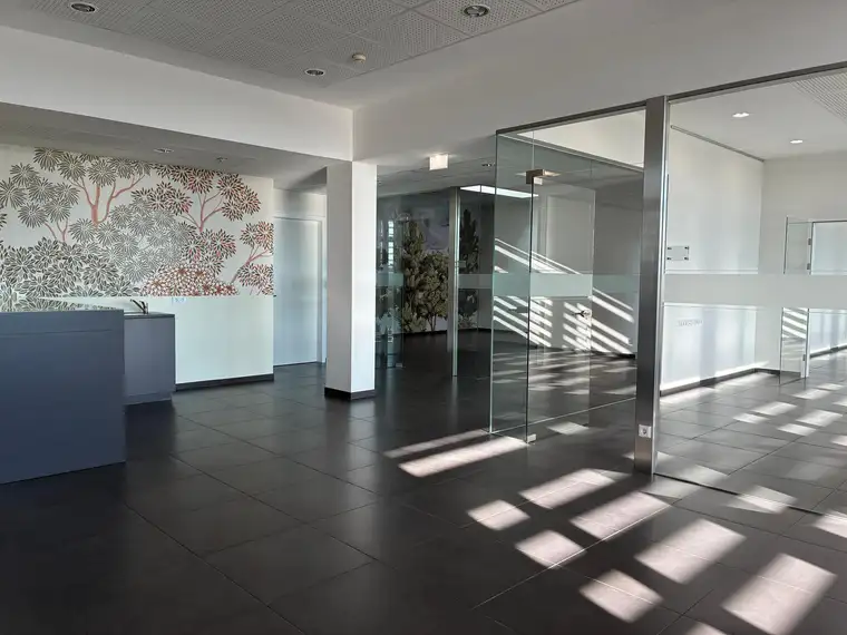 Kühl in unserem schönsten Büro – Arbeit wird zur Entspannung, 187 m², exklusiv und provisionsfrei