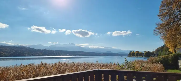 Alexander Prager, LIVING DELUXE Real Estate GmbH