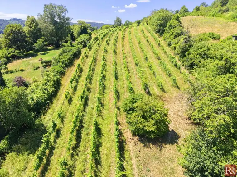 Großzügiges Grundstück mit Weitblick