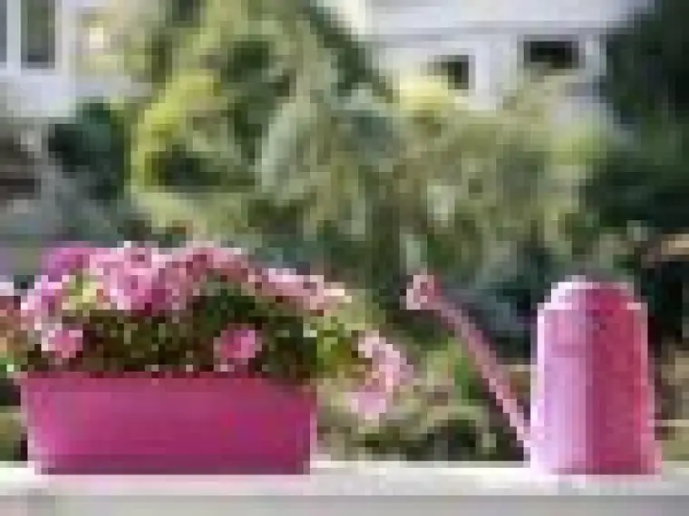 Familientraum im Grünen! 3 Monatsmieten gespart!