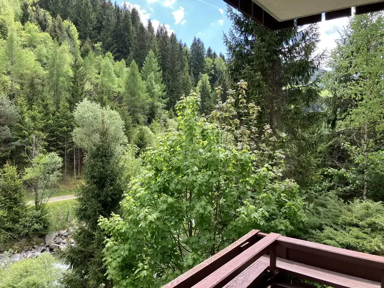 Schöne Wohnung in Eisentratten