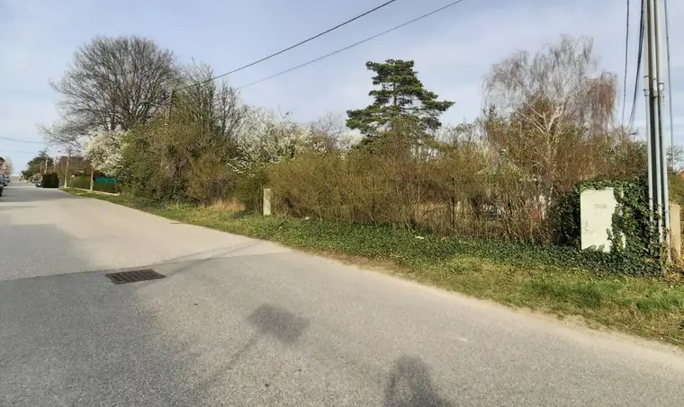 GRÜNRUHELAGE MIT BAUGENEHMIGUNG