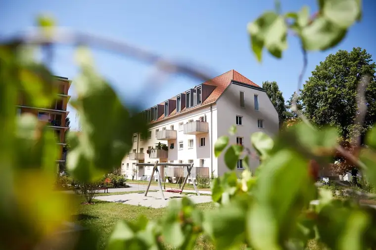Mag. Gerhard Strasser, Immoschmiede GmbH