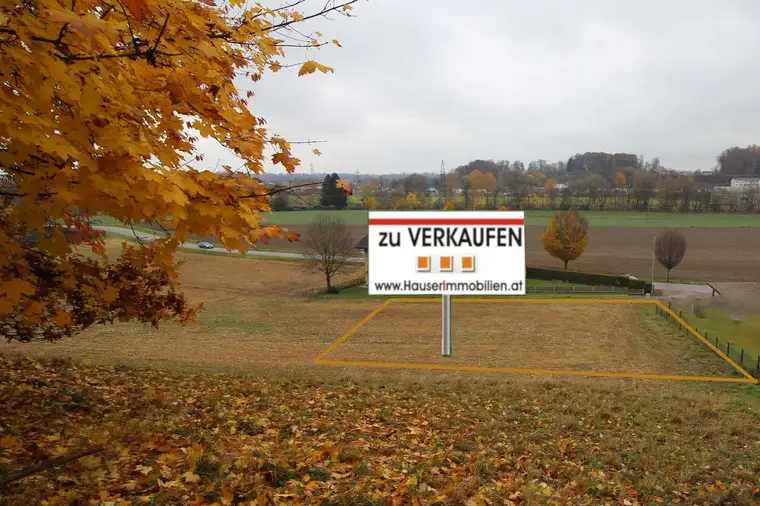 Baugrund Attnang-Puchheim in naturnaher Umgebung!