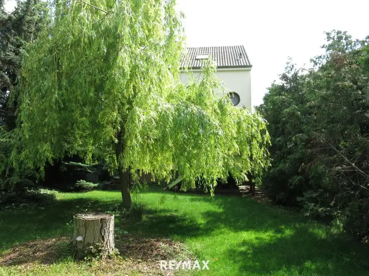 7-Zimmer Familienhaus mit Wintergarten und idyllischem Garten !