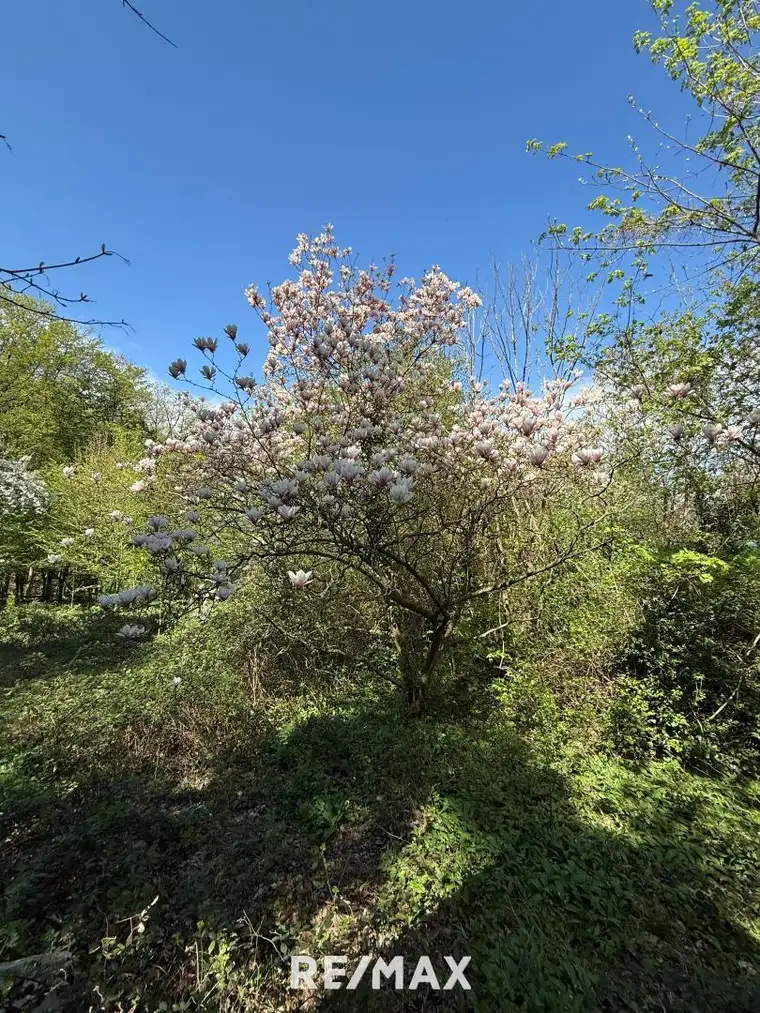1170 / Idyllisches GRUNDSTÜCK (KLG) Eselstiege