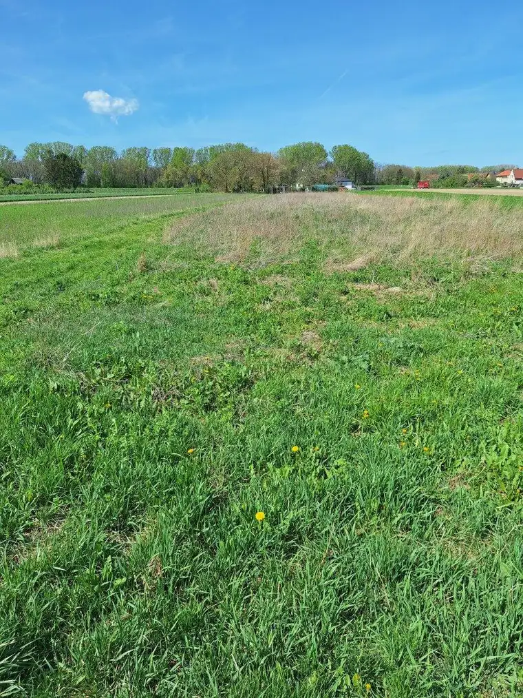 Grünes Paradies zum Kaufen: Landwirtschaft in Niederösterreich