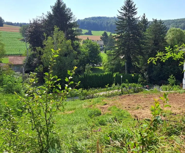Traumhaftes Baugrundstück in Alland - Perfekt für Ihr neues Zuhause! Nur 199.000,00 € für 584m².