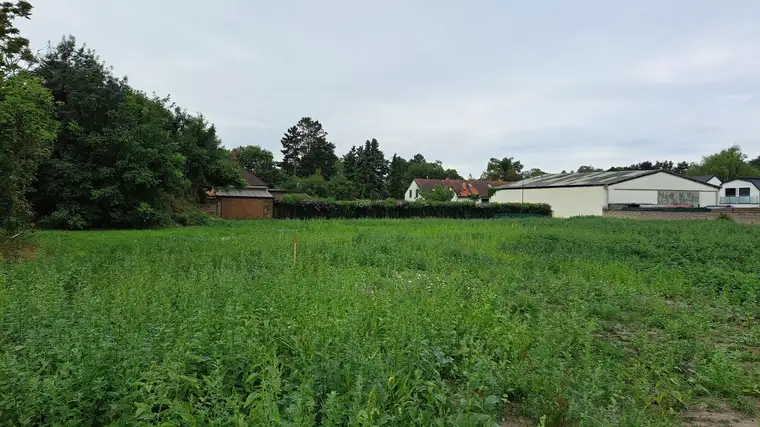 Traumhaftes Eigenheim: Baugrundstück in Mühlleiten