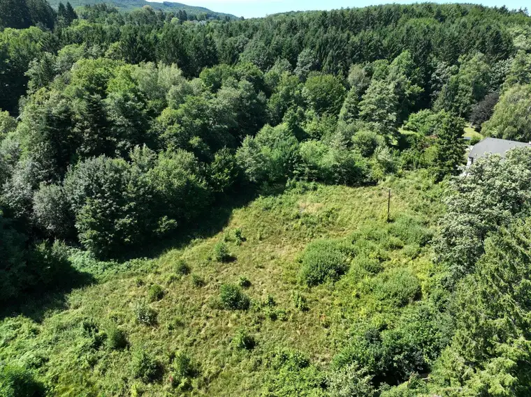Ein Bauplatz mit außergewöhnlicher Freifläche – 3.154 m² in Pressbaum