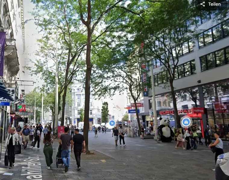 Samuel Ayub Stahl, REALES EBV Entwicklung Beratung Vermittlung GmbH