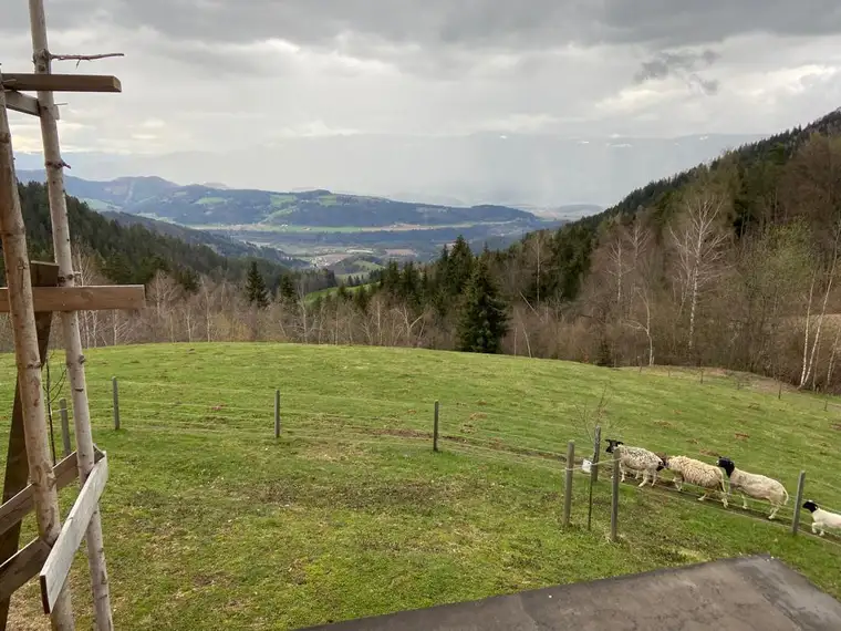 Wunderschöne Hofstelle - Alleinlage - Aussichtslage - Wald - Grünland - Teich - Quelle!
