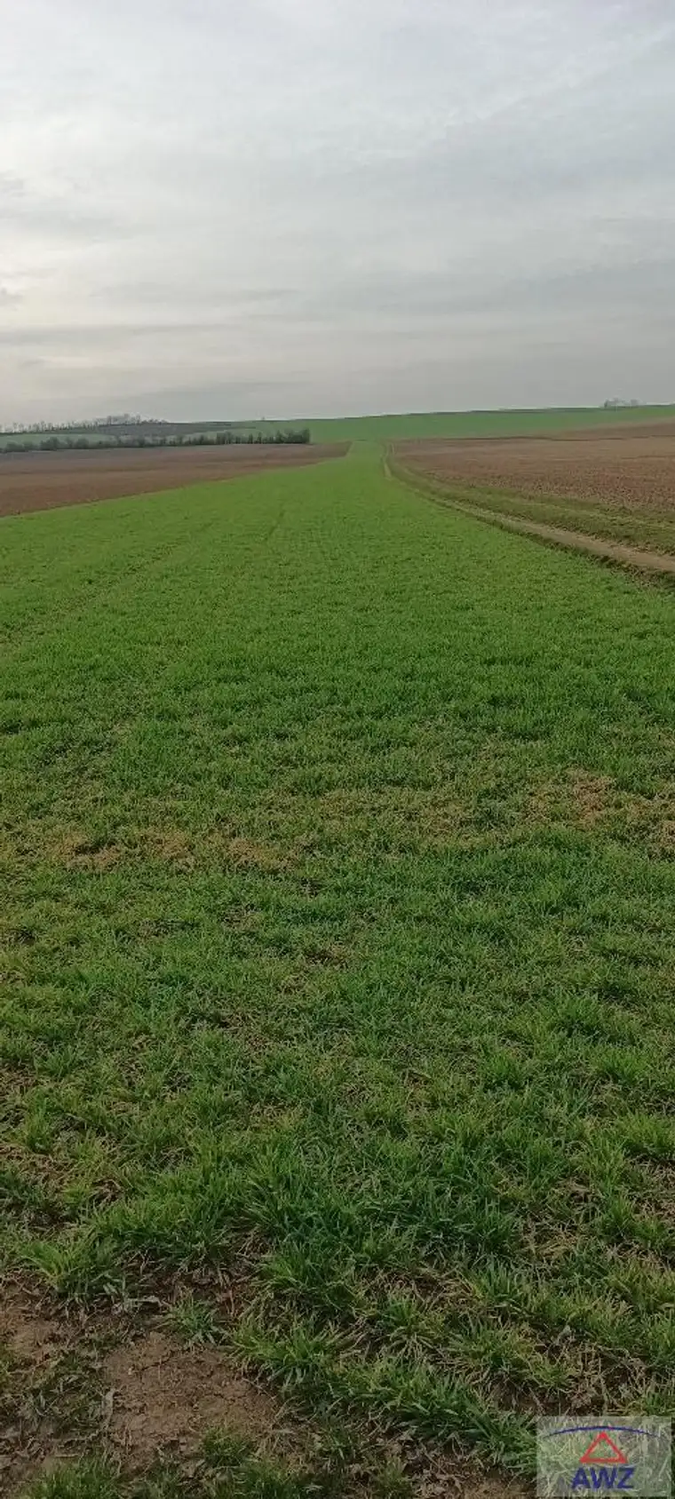 Ackerflächen zu verkaufen!