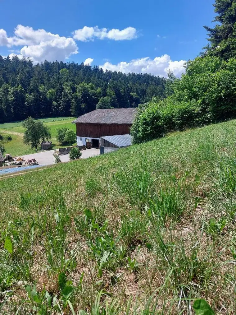Verkaufe LANDWIRTSCHAFT mit ca. 25 ha in Toplage!