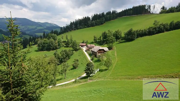 Landwirtschaft mit über 53 Hektar! 