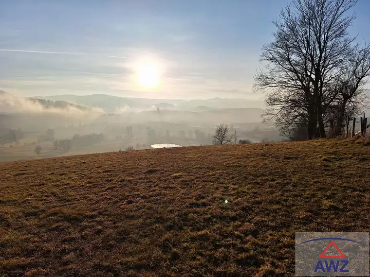 Ca. 20.000 m² Grünlandfläche nahe Passail im Almenland!