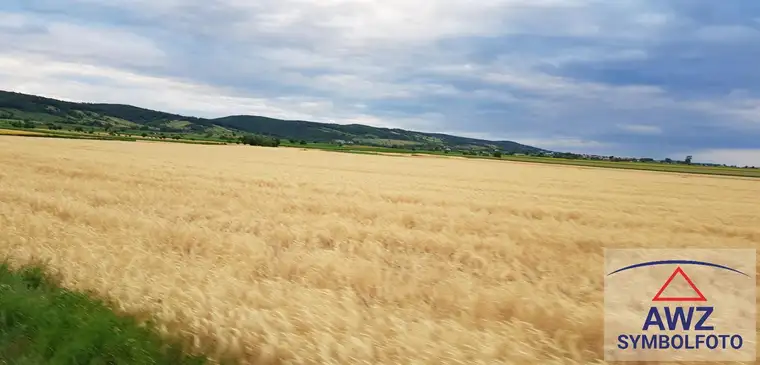 Ertragreicher Acker in Kremsmünster