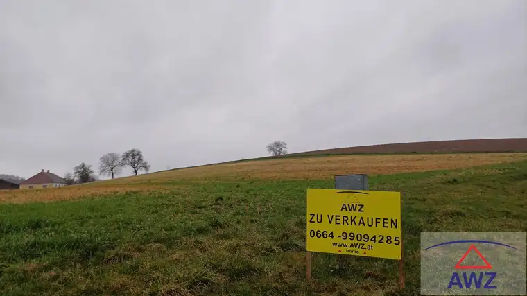 Ackerland und Obstbaumwiese!