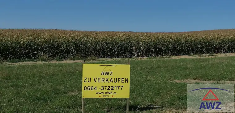 Wunderschöne Lage - Ländliches Grundstück im Naturpark SCHARTEN