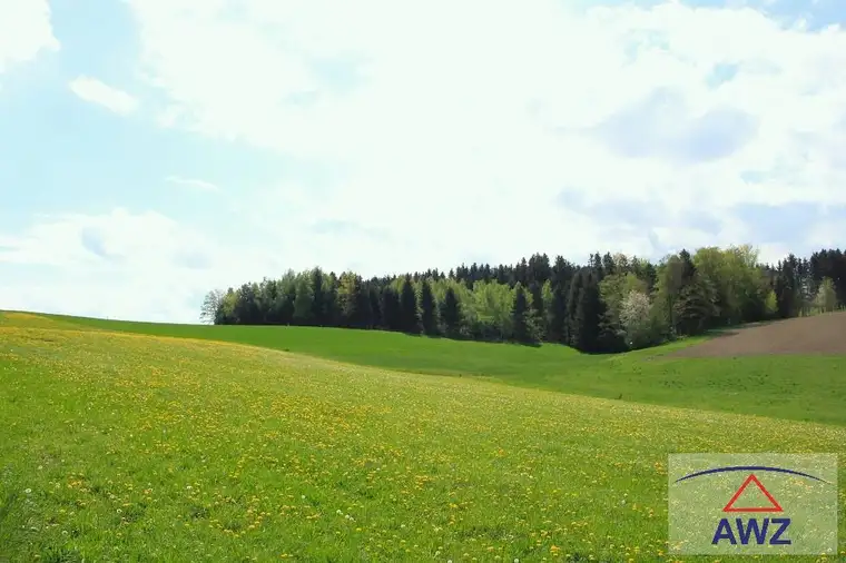 Schöner leistbarer Baugrund mit Grünland!