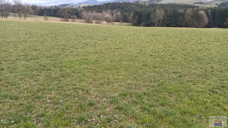 Ackerland mit guter Bonität!