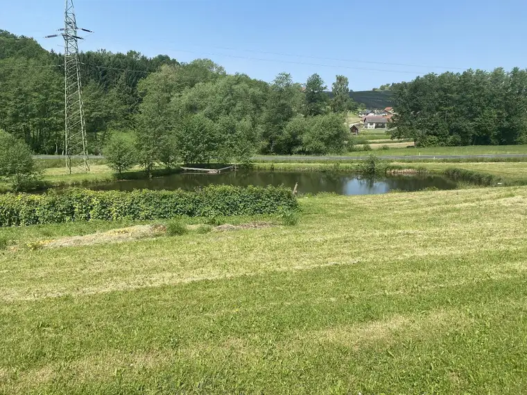 Ein Paradies im Südburgenland!
