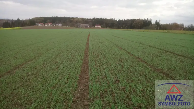 Ackerflächen in Krummnussbaum! 