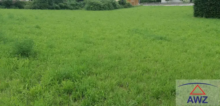 Wunderschönes und sehr großes Grundstück in Toplage! 