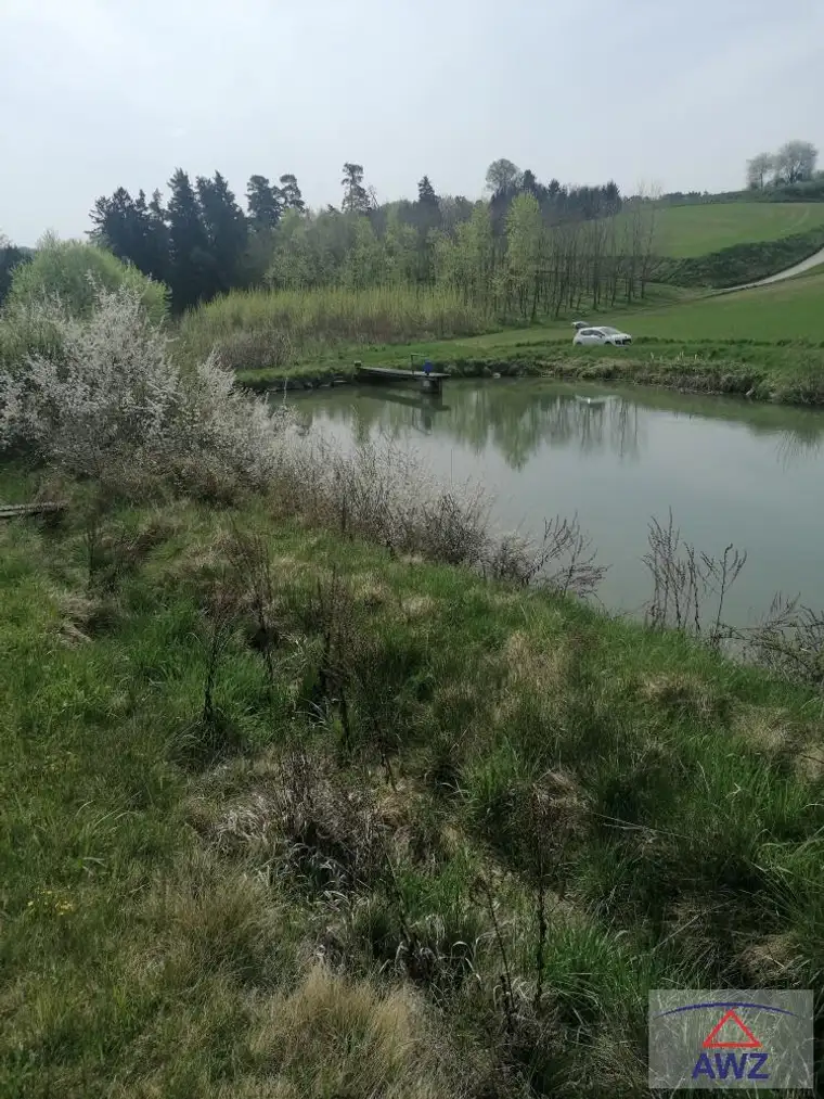 Sehr gepflegter Fischteich in Gföhl!