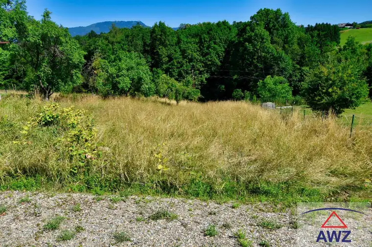 Baugrundstück mit landwirtschaflicher Nutzfläche!
