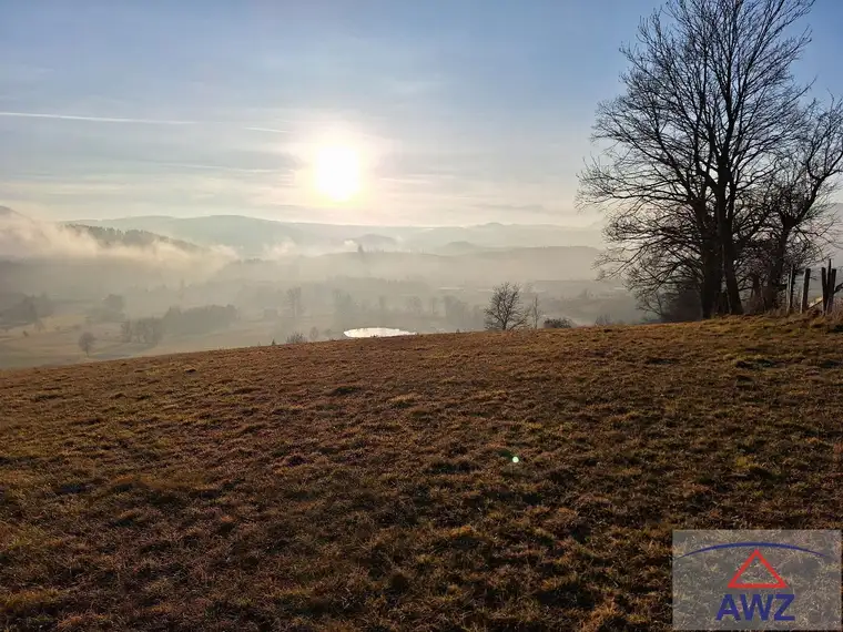 Ca. 20.000 m² Grünlandfläche nahe Passail im Almenland!