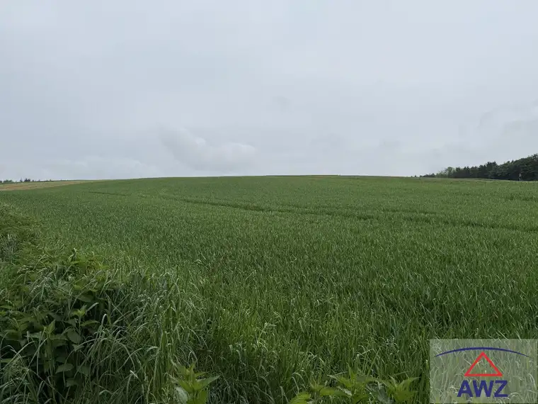 Acker mit guter Bonität! 