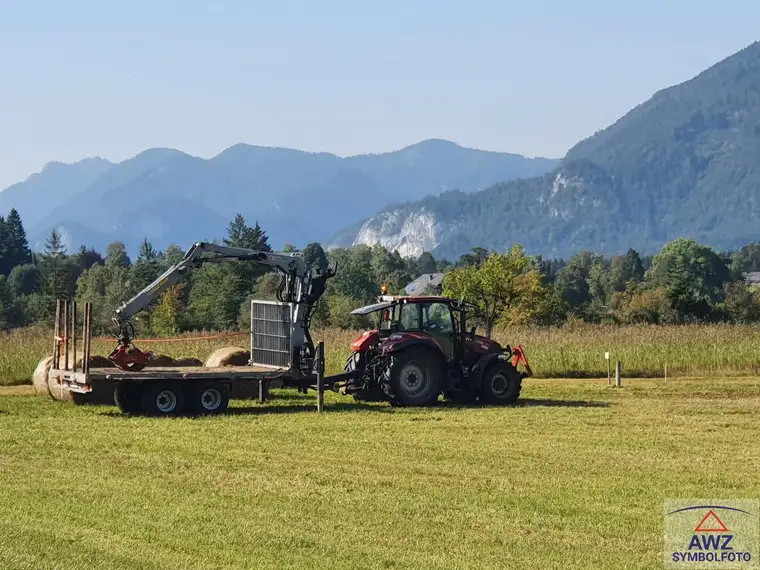 Bauernhof im Waldviertel!