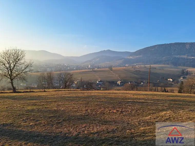 Naturpark Almenland - Ca. 20.000 m² Grünland (+ angrenzender Baugrund optional möglich)