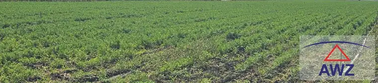 Bio-Ackerfläche in Raasdorf zu verkaufen!