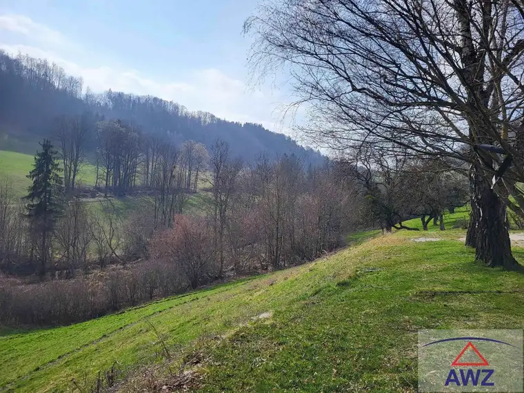 Bauernhof mit arrondiertem Grund in Alleinlage im Voralpengebiet!