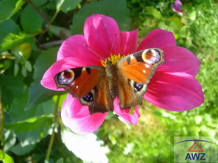 Investoren! Hotel wartet auf Sie! Seniorenresidenz!